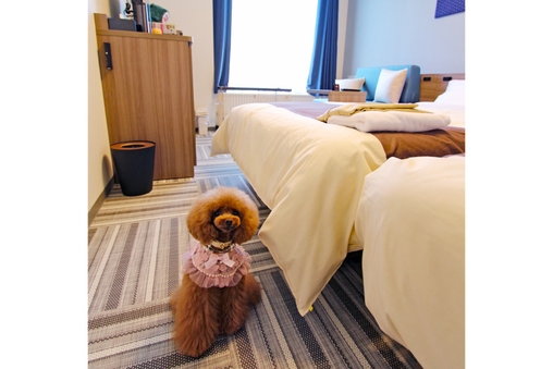 【禁煙】ドッグルーム